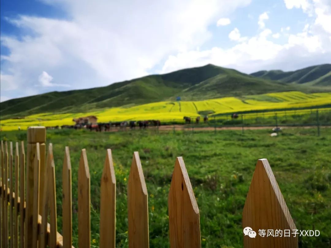 青海甘肅旅游攻略必去景點(diǎn)大全_青海甘肅旅游路線_甘肅青海旅游攻略