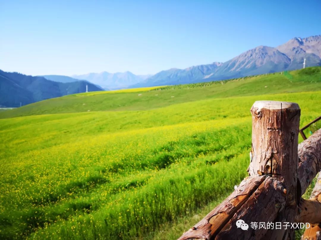 青海甘肅旅游路線_甘肅青海旅游攻略_青海甘肅旅游攻略必去景點(diǎn)大全
