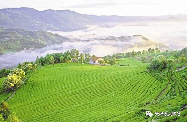 柴埠溪大灣口景區(qū)_柴埠溪游玩時間_柴埠溪大峽谷一日游攻略