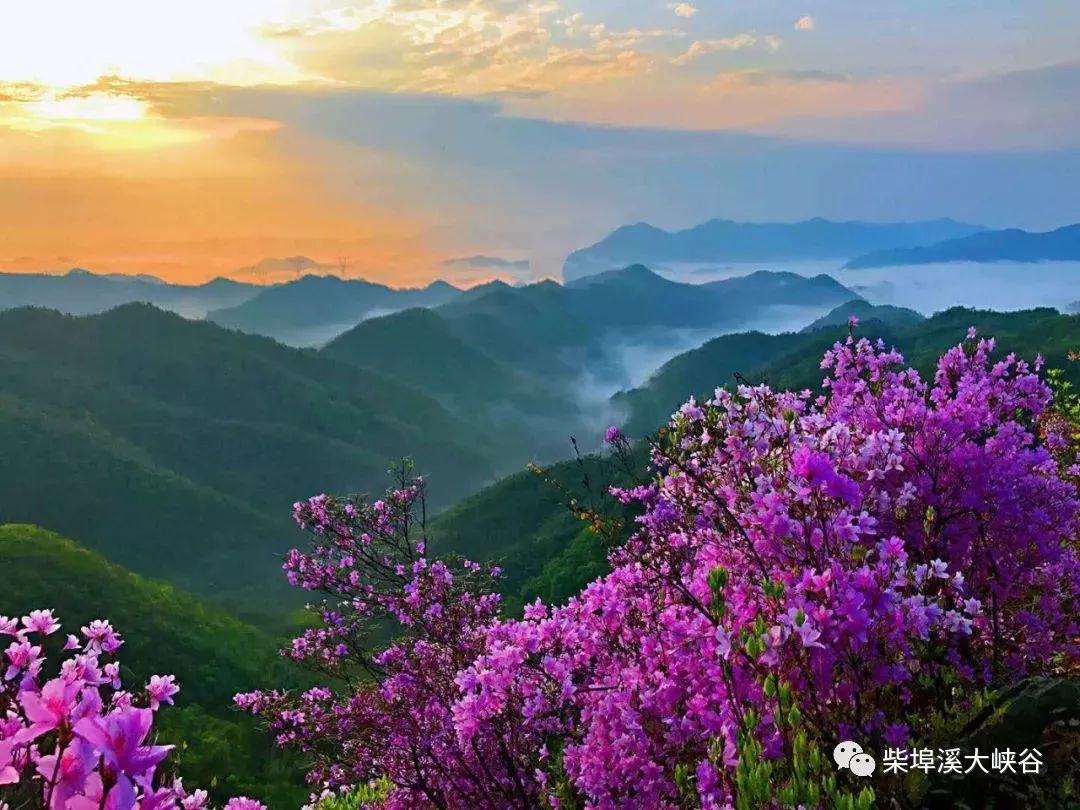 柴埠溪游玩時間_柴埠溪大灣口景區(qū)_柴埠溪大峽谷一日游攻略