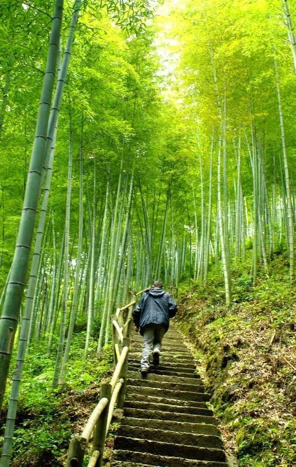 安徽明堂山風(fēng)景區(qū)游玩攻略_安徽明堂山景區(qū)門票_安徽明堂山旅游攻略