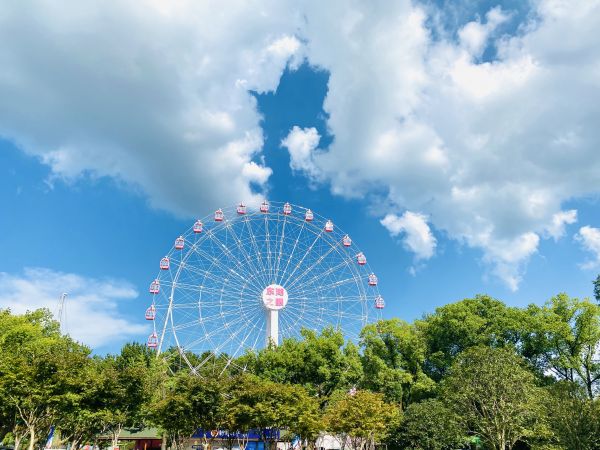 東湖之眼游玩攻略_東湖梨園景區游玩攻略_東湖山公園游玩攻略
