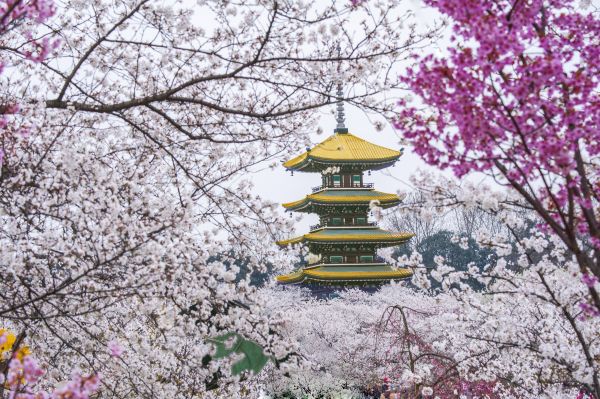 東湖梨園景區游玩攻略_東湖之眼游玩攻略_東湖山公園游玩攻略