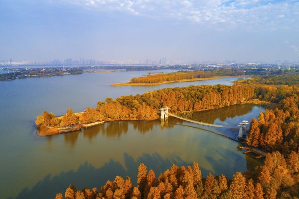 東湖梨園景區游玩攻略_東湖山公園游玩攻略_東湖之眼游玩攻略