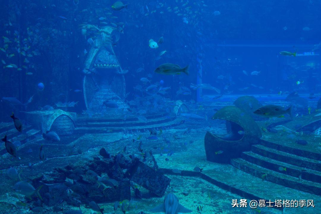 親子游去三亞必去景點_三亞親子旅游景點_三亞親子游攻略