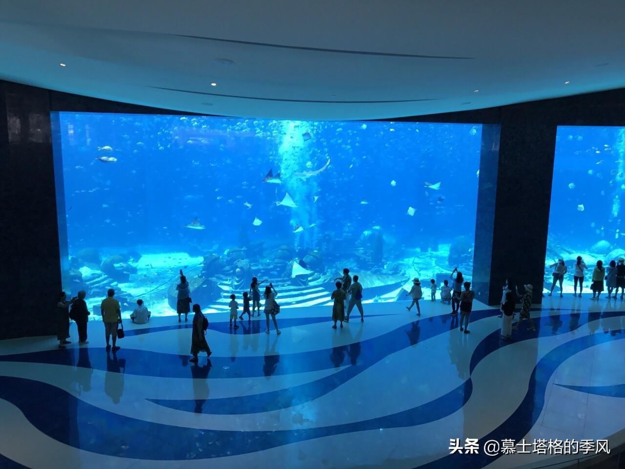 三亞親子旅游景點_親子游去三亞必去景點_三亞親子游攻略