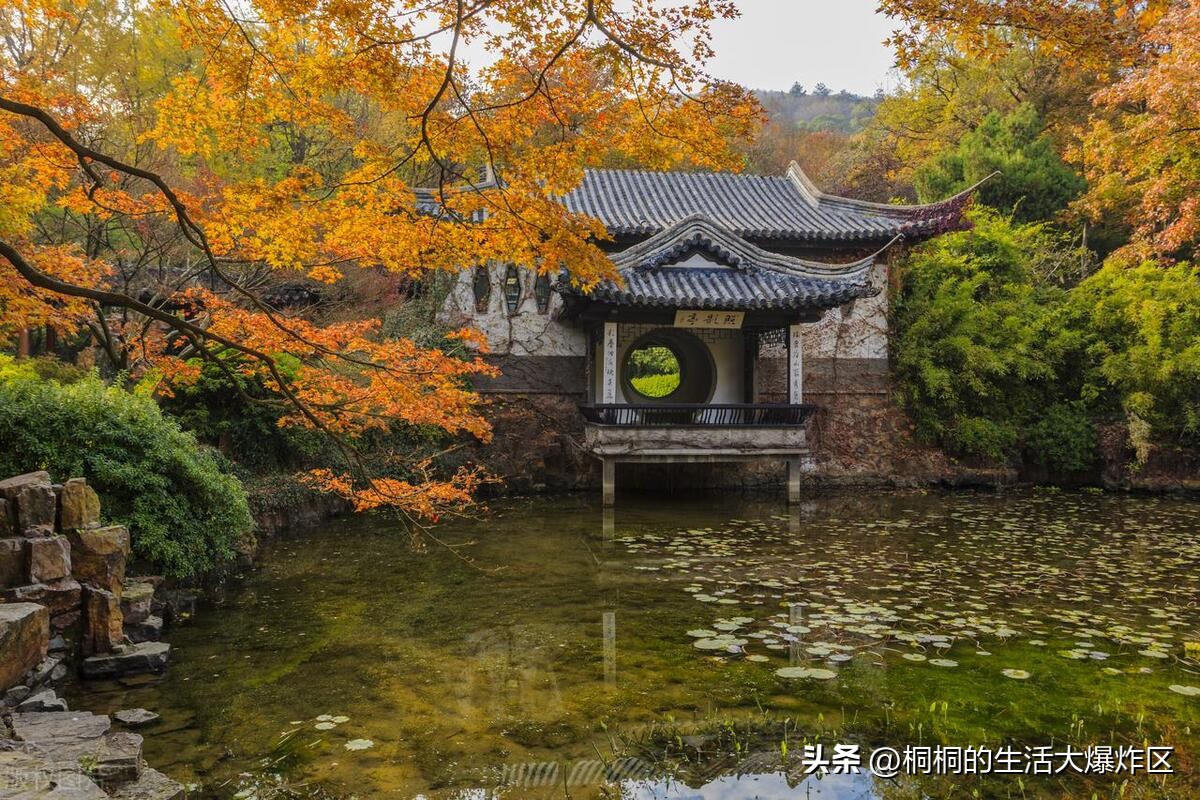 無(wú)錫線(xiàn)路攻略日游最佳旅游地點(diǎn)_無(wú)錫線(xiàn)路攻略日游最佳旅游季節(jié)_無(wú)錫旅游攻略一日游最佳線(xiàn)路