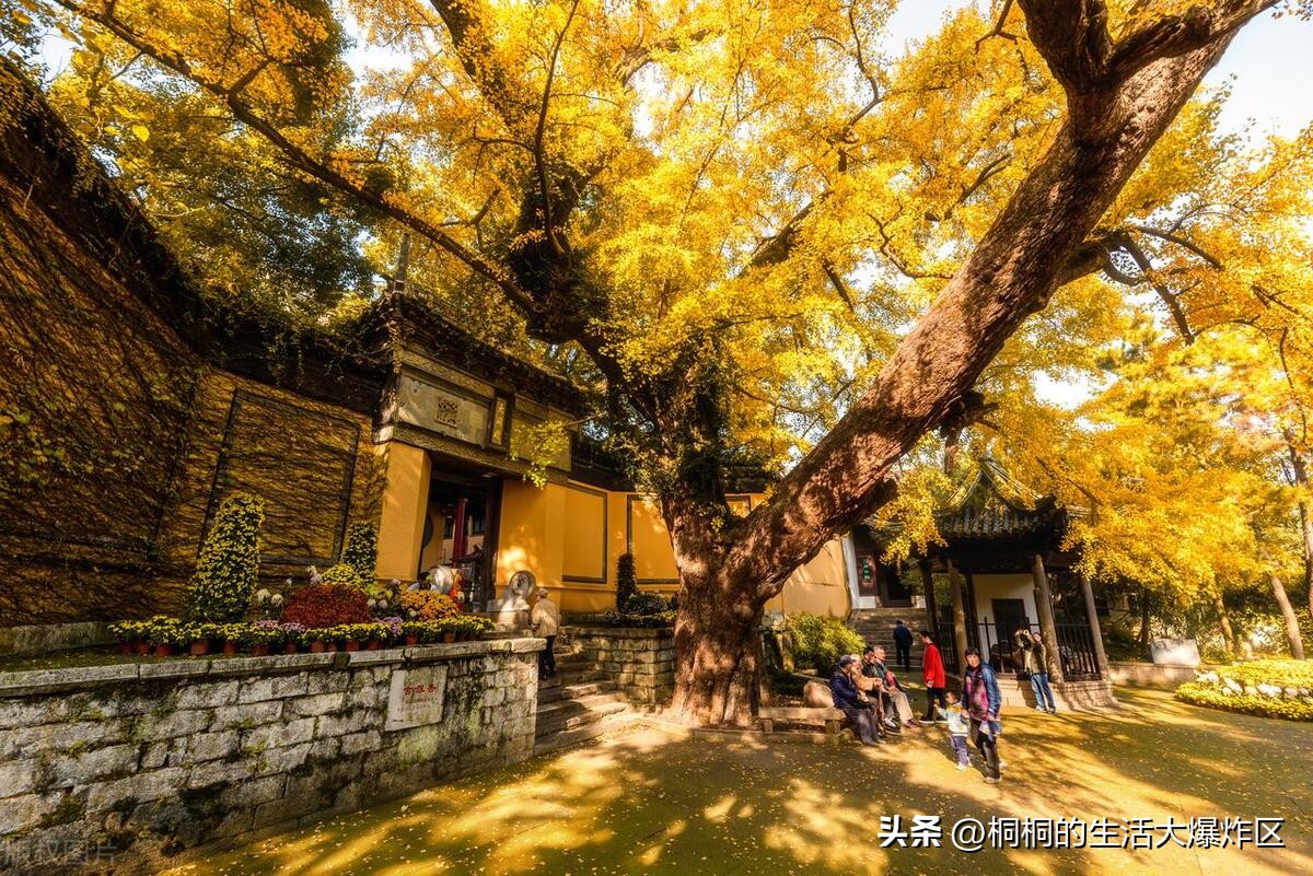 無(wú)錫旅游攻略一日游最佳線(xiàn)路_無(wú)錫線(xiàn)路攻略日游最佳旅游地點(diǎn)_無(wú)錫線(xiàn)路攻略日游最佳旅游季節(jié)