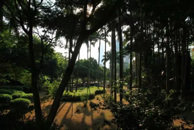 廈門島外旅游景點(diǎn)_廈門島外旅游攻略_去廈門島外必玩的十大景點(diǎn)