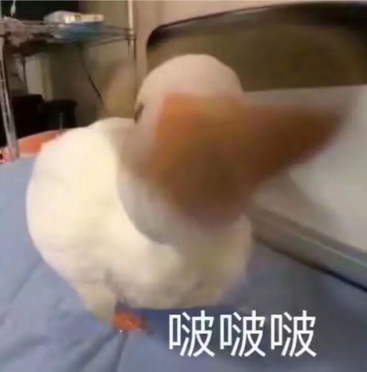 武漢長(zhǎng)江大橋怎么玩兒_武漢長(zhǎng)江大橋景點(diǎn)怎么游_武漢長(zhǎng)江大橋游玩攻略