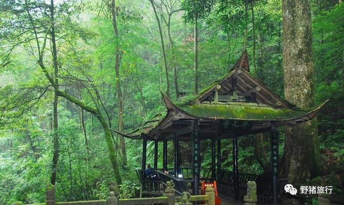 四川成都旅游攻略景點必去_成都四川旅游區有什么景點_四川成都旅游路線推薦