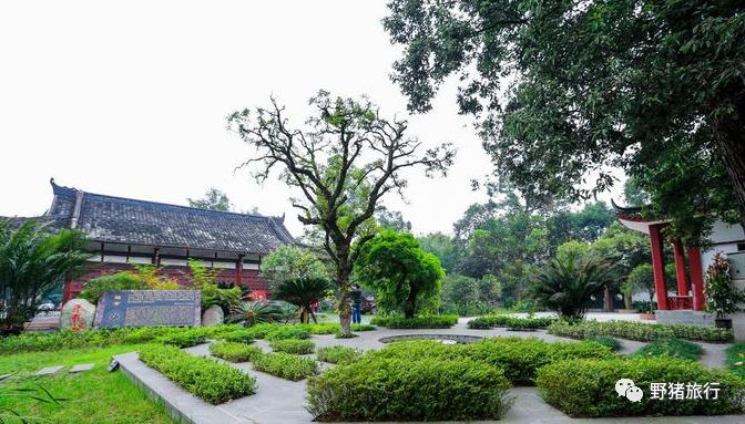 四川成都旅游路線推薦_四川成都旅游攻略景點必去_成都四川旅游區有什么景點