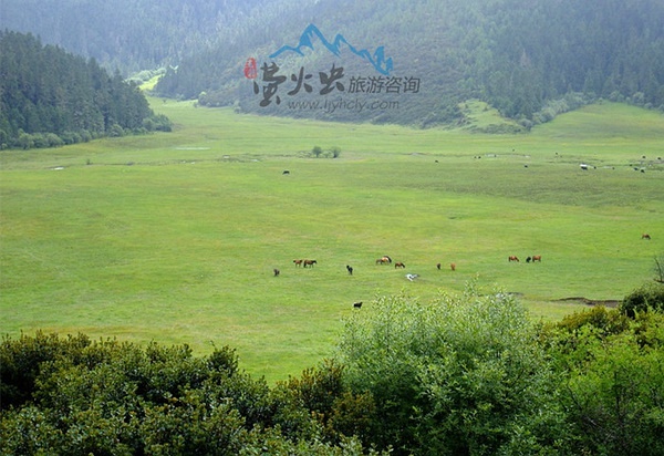 麗江古城自助火鍋_麗江古城自助餐餐廳_麗江古城自助游攻略路線