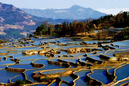 云南攻略旅游自由行ppt_云南旅游自由行攻略_云南攻略旅游自由行最佳地點