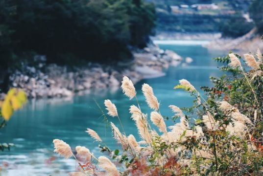 云南攻略旅游自由行最佳地點_云南攻略旅游自由行ppt_云南旅游自由行攻略