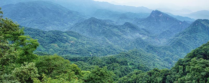 都江堰青城山好玩嗎_青城山都江堰旅游攻略_都江堰青城山旅游官網(wǎng)