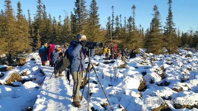 伊春旅游攻略自駕游_自駕游伊春風(fēng)景區(qū)最佳線路_自駕攻略旅游伊春游路線