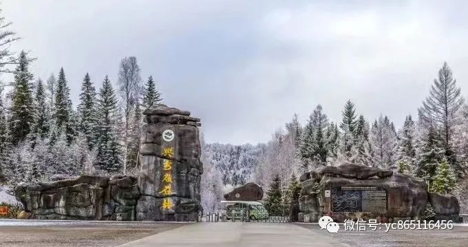 伊春旅游攻略自駕游_自駕游伊春風(fēng)景區(qū)最佳線路_自駕攻略旅游伊春游路線
