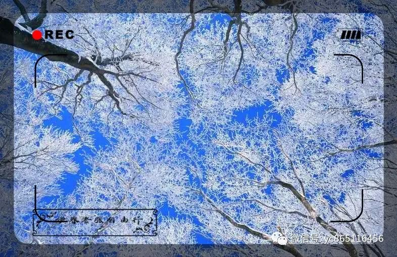 自駕游伊春風(fēng)景區(qū)最佳線路_自駕攻略旅游伊春游路線_伊春旅游攻略自駕游