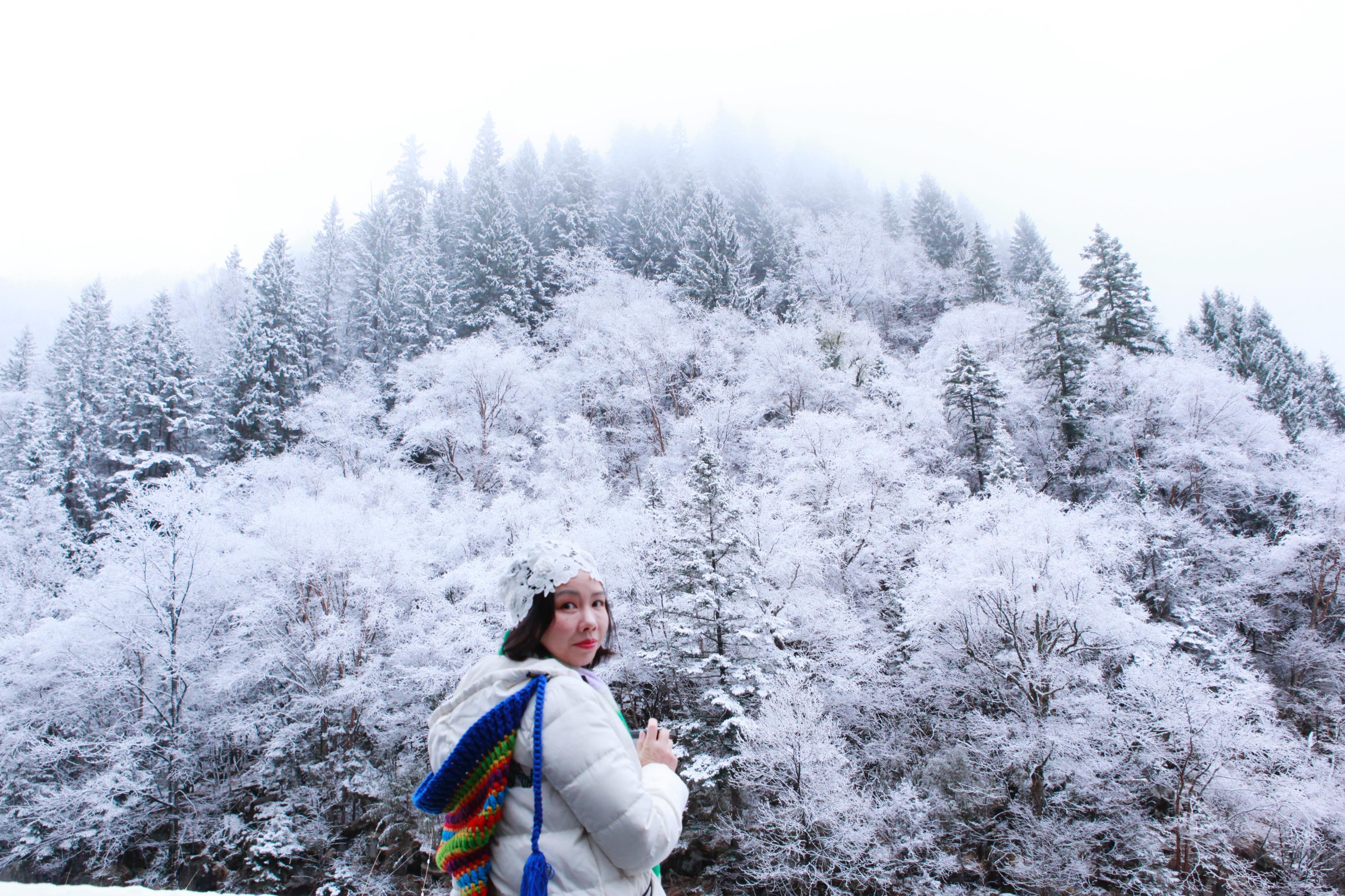 成都到畢棚溝旅游攻略_從成都到畢棚溝一日游_攻略成都旅游到畢棚溝要多久