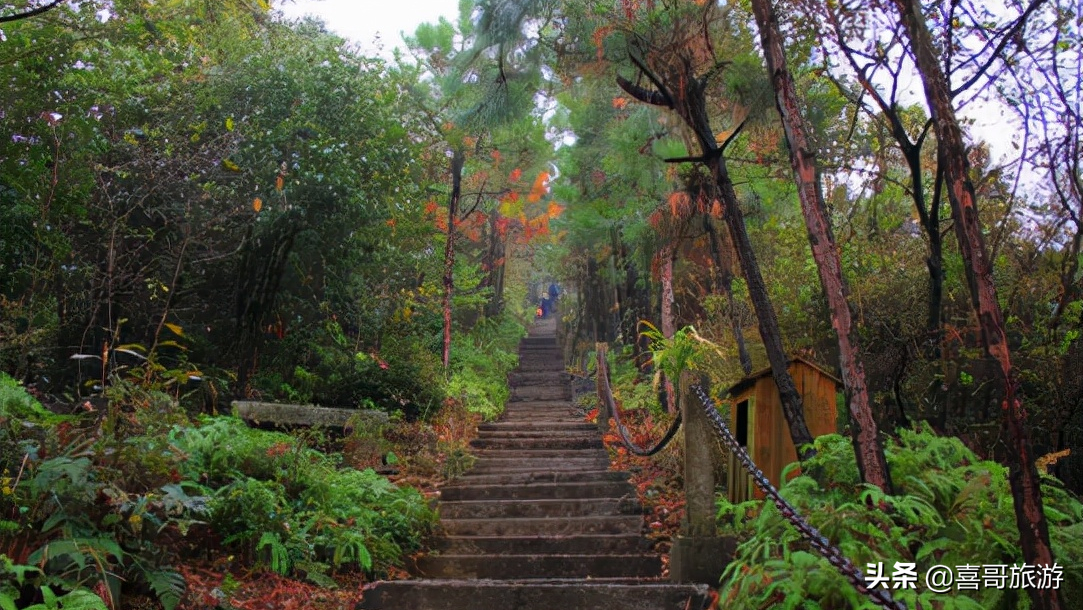 景德鎮(zhèn)旅游全攻略_景德鎮(zhèn)的旅游攻略_景德鎮(zhèn)旅游路線推薦