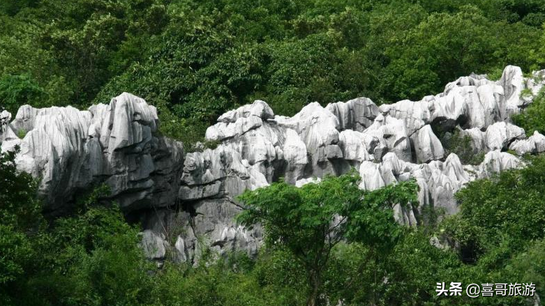 景德鎮(zhèn)的旅游攻略_景德鎮(zhèn)旅游路線推薦_景德鎮(zhèn)旅游全攻略