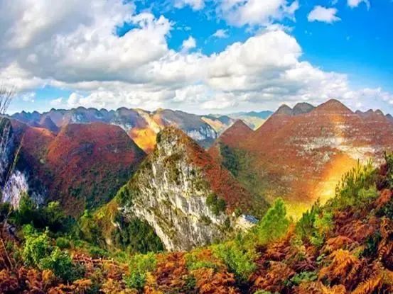 百色旅游景區(qū)_百色旅游攻略必去景點_百色旅游景點攻略