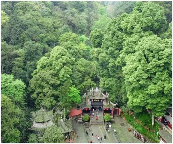 成都青城山旅游攻略_成都旅游攻略青城山風景_攻略成都青城旅游山莊的路線