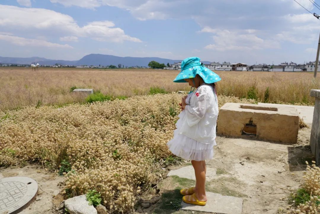 大理麗江自由行攻略_去麗江大理攻略_大理麗江游玩線路推薦