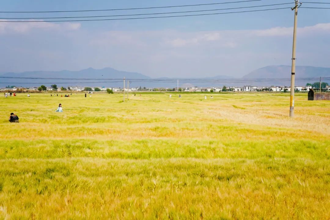 大理麗江自由行攻略_去麗江大理攻略_大理麗江游玩線路推薦