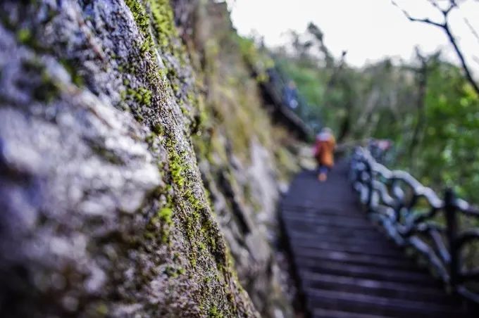 自駕游去天堂寨住哪里比較好_天堂寨自駕旅游攻略_自駕游天堂寨多少費用