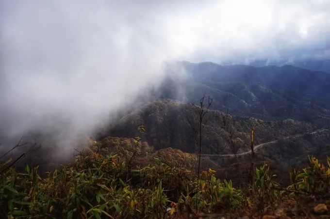 自駕游天堂寨多少費用_天堂寨自駕旅游攻略_自駕游去天堂寨住哪里比較好