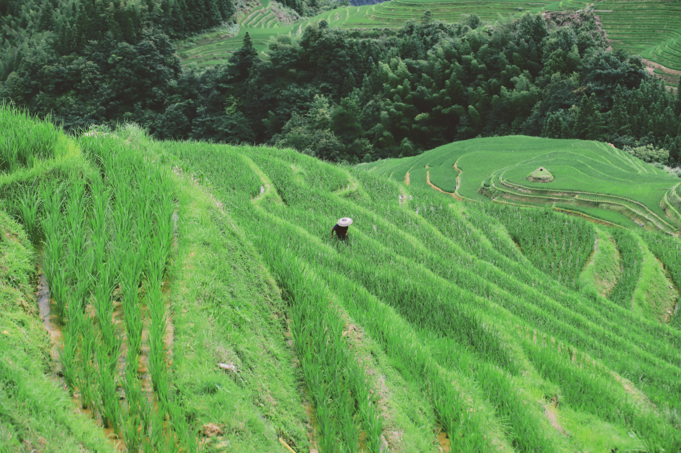 梯田旅游_梯田旅游攻略_梯田景點