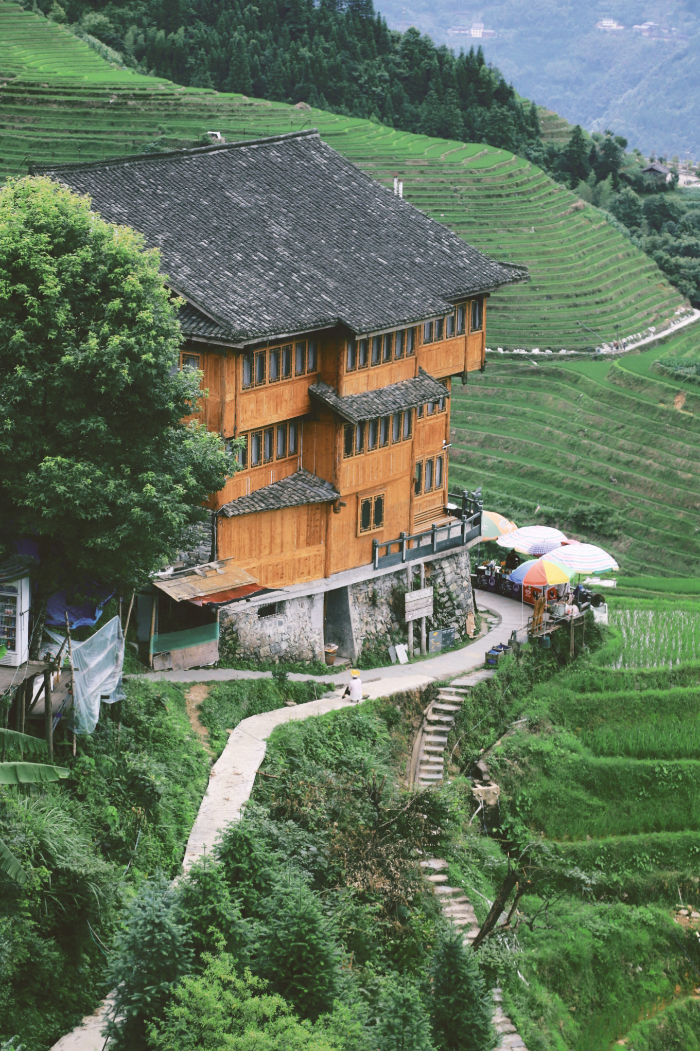 梯田景點_梯田旅游攻略_梯田旅游