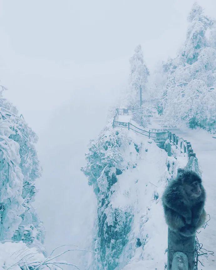 成都峨眉山自駕_峨眉山到成都路上有什么好玩的_成都到峨眉山旅游攻略