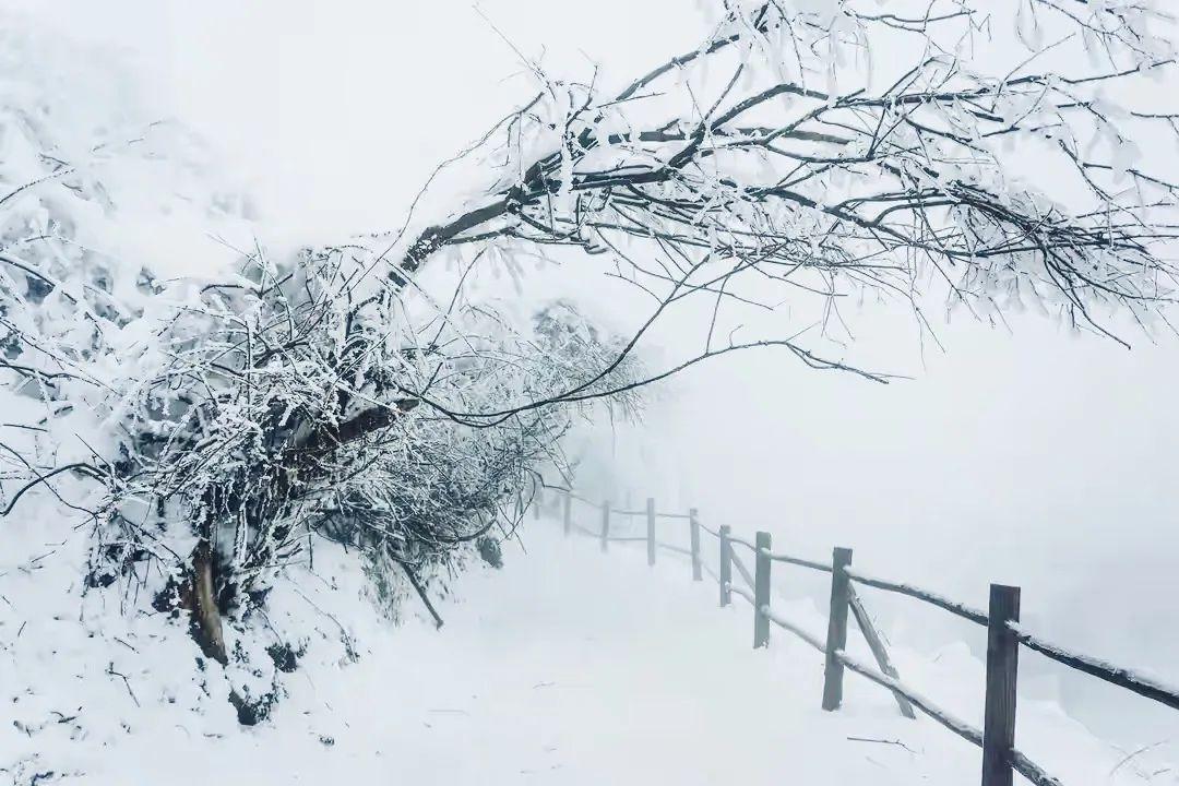 峨眉山到成都路上有什么好玩的_成都到峨眉山旅游攻略_成都峨眉山自駕