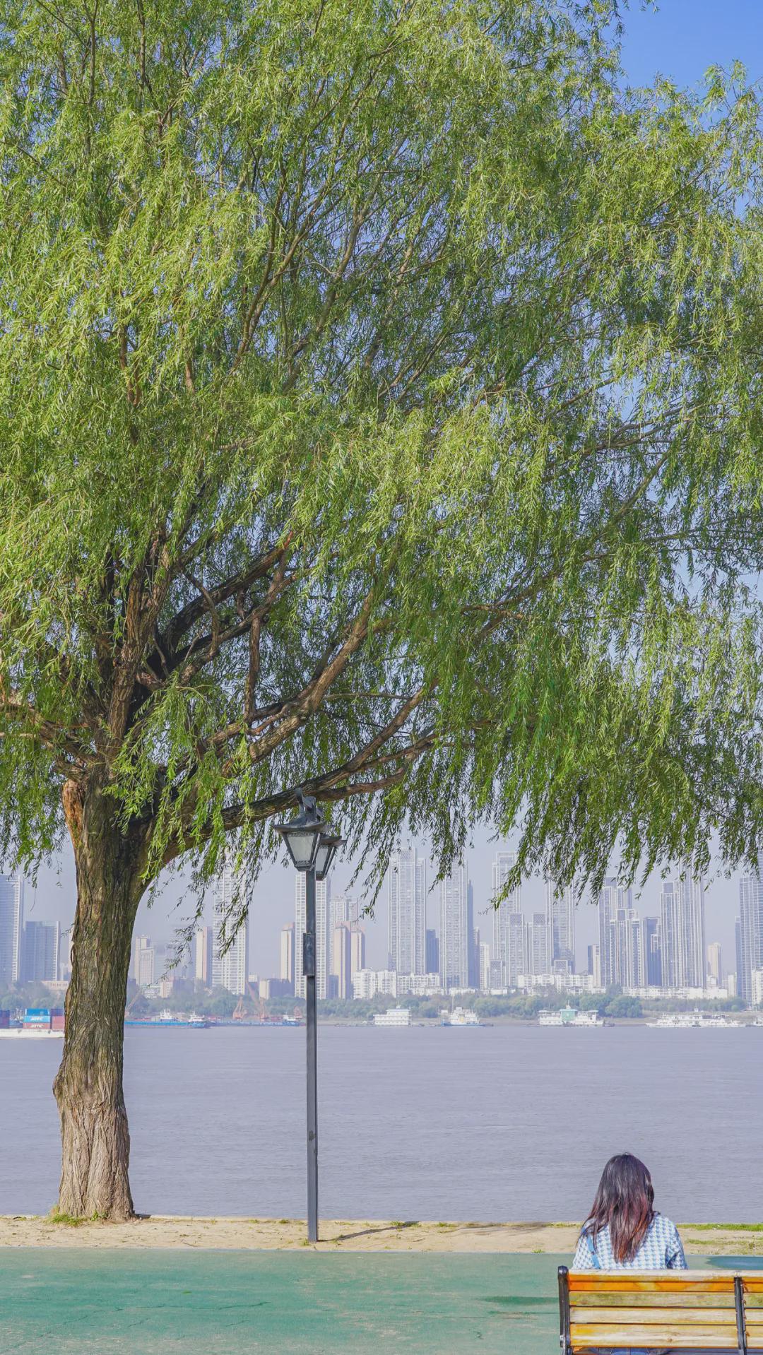 漢口江灘公園游玩攻略_漢口江灘公園住宿_漢口江灘公園旅館