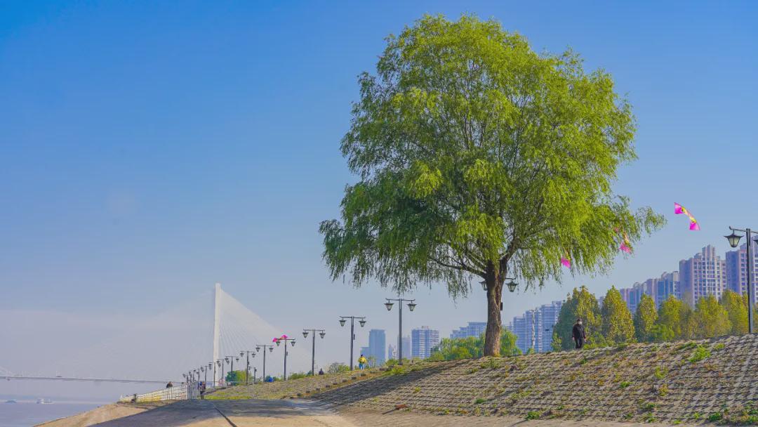 漢口江灘公園旅館_漢口江灘公園游玩攻略_漢口江灘公園住宿