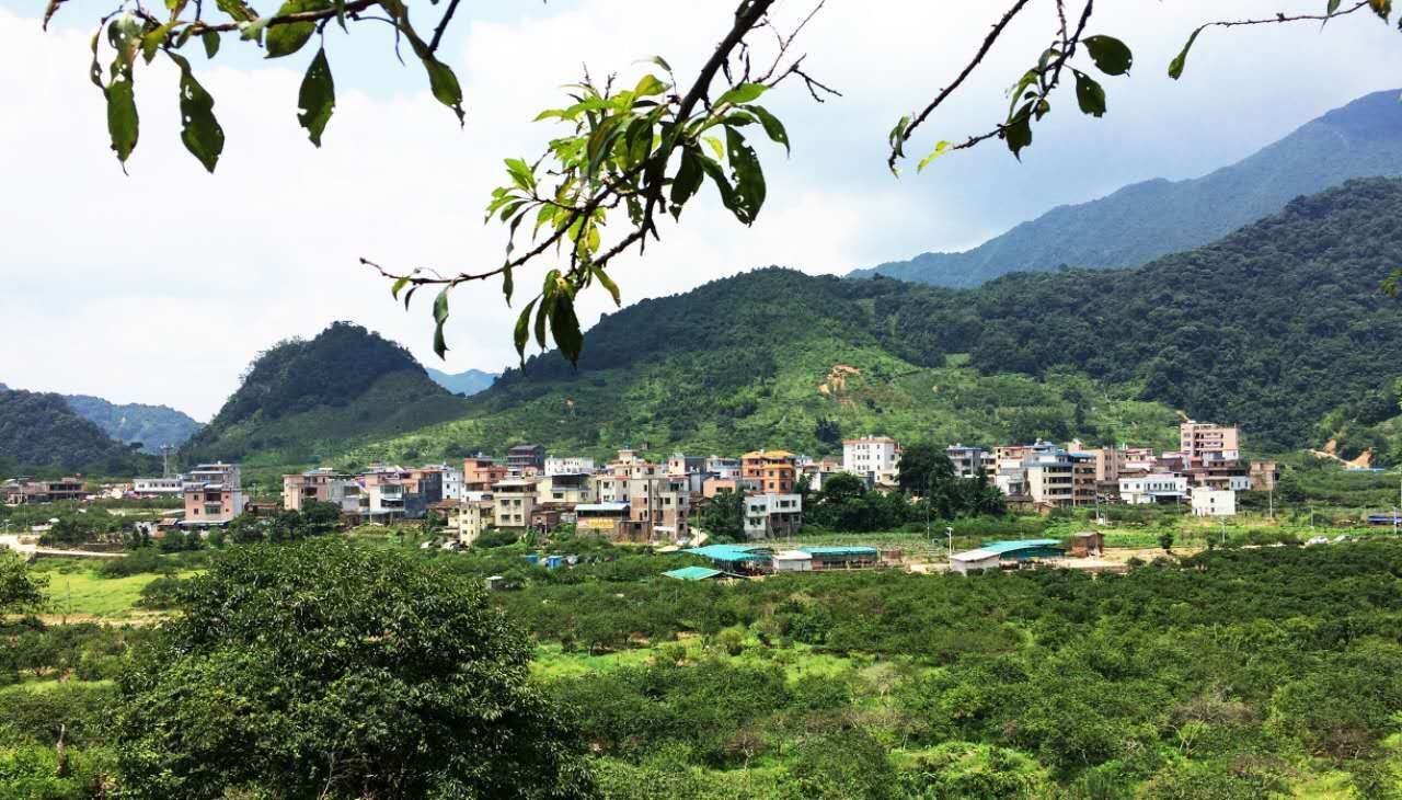 潮州溪美村旅游攻略_潮州溪美有什么玩_潮卅溪美村景點(diǎn)