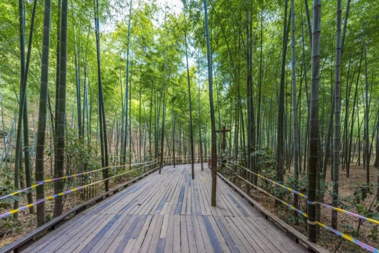 江蘇南京旅游景點(diǎn)攻略_江蘇南京旅游必去十大景點(diǎn)推薦_江蘇南京旅游景點(diǎn)大全景點(diǎn)排名